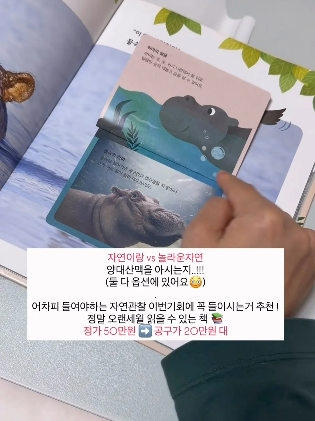 K8 3.5 2륜 8