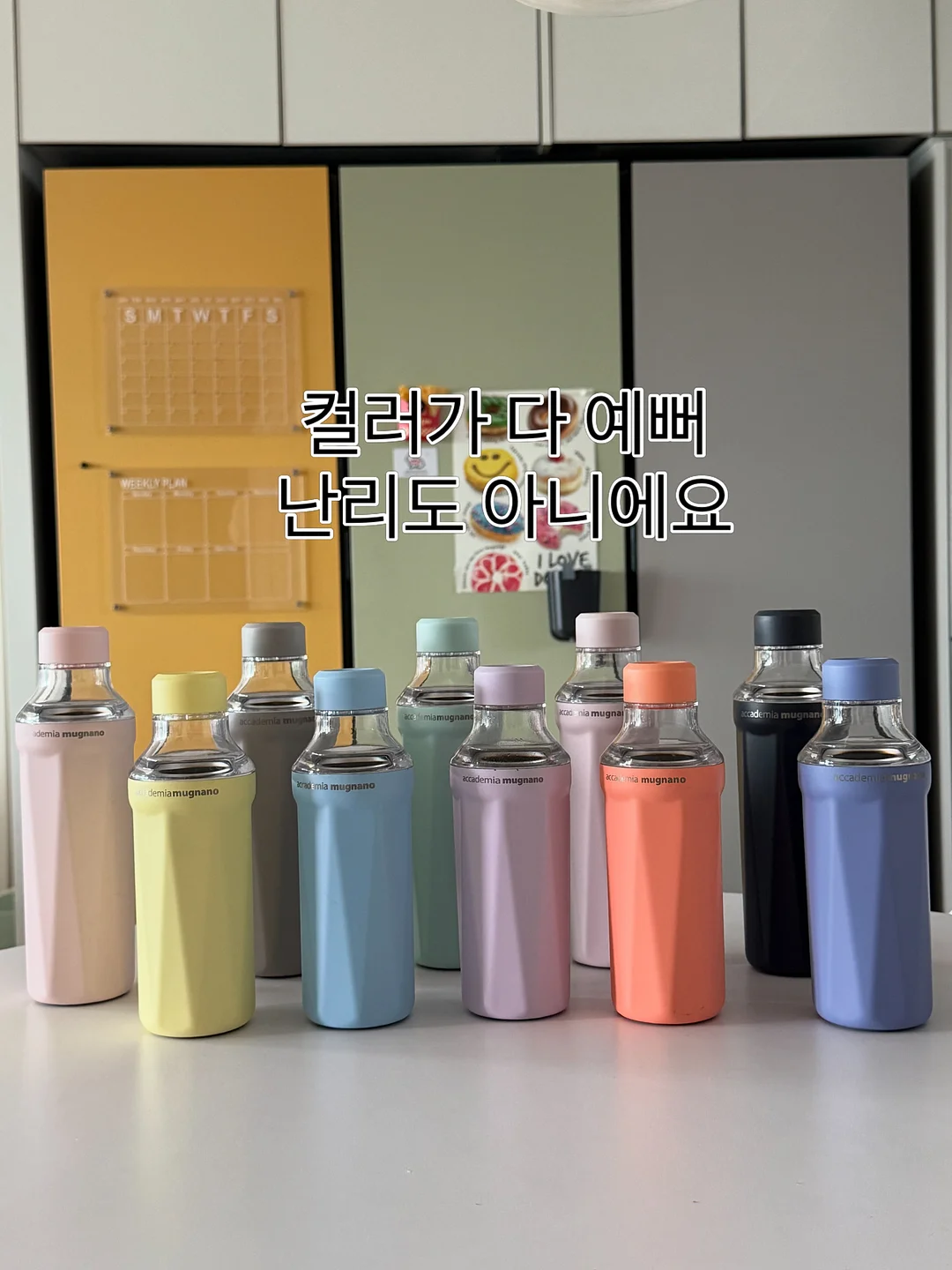 이달의아트 15