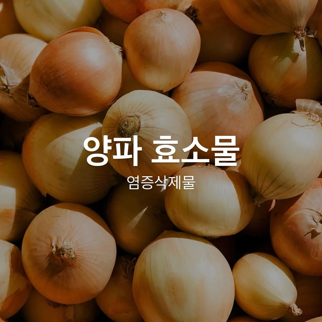 독서 에어쇼파 1