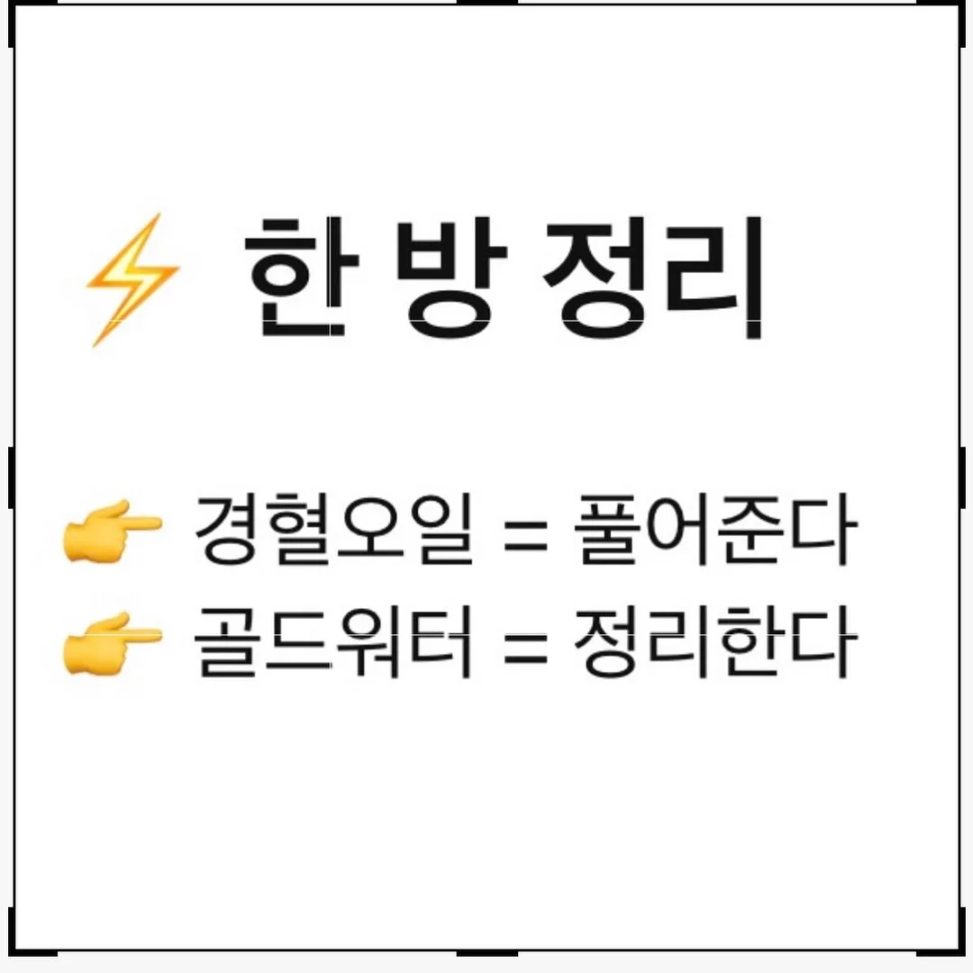 독서 에어쇼파 2