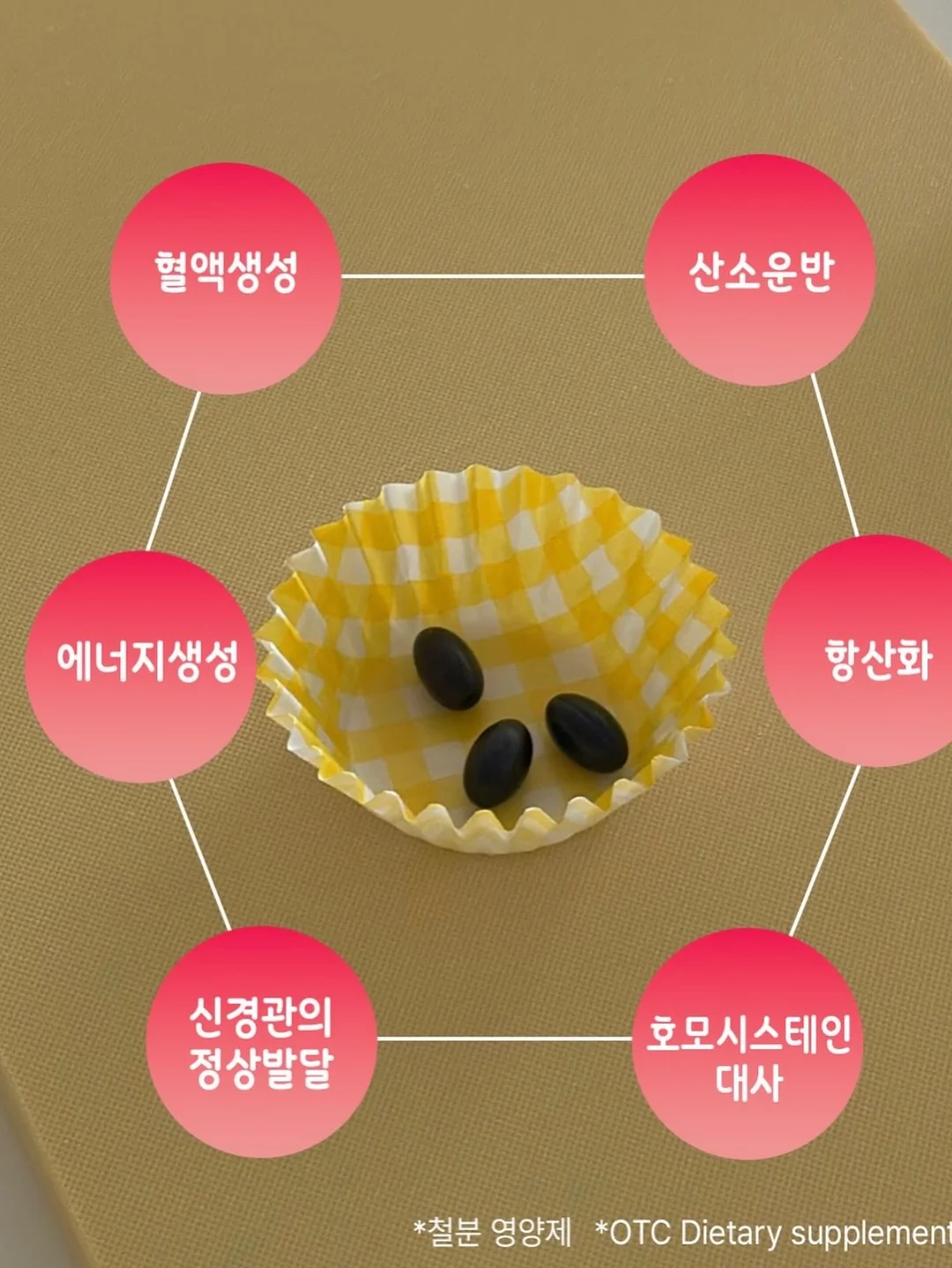 스테인리스 레일 6