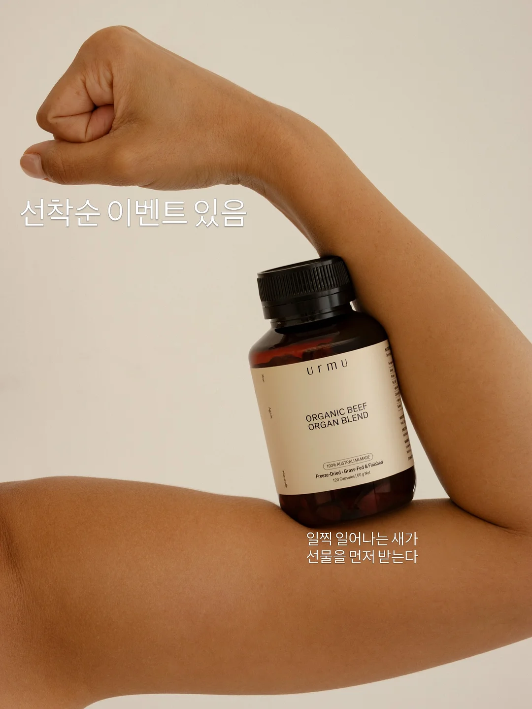 알텐바흐 딥소테팬 2