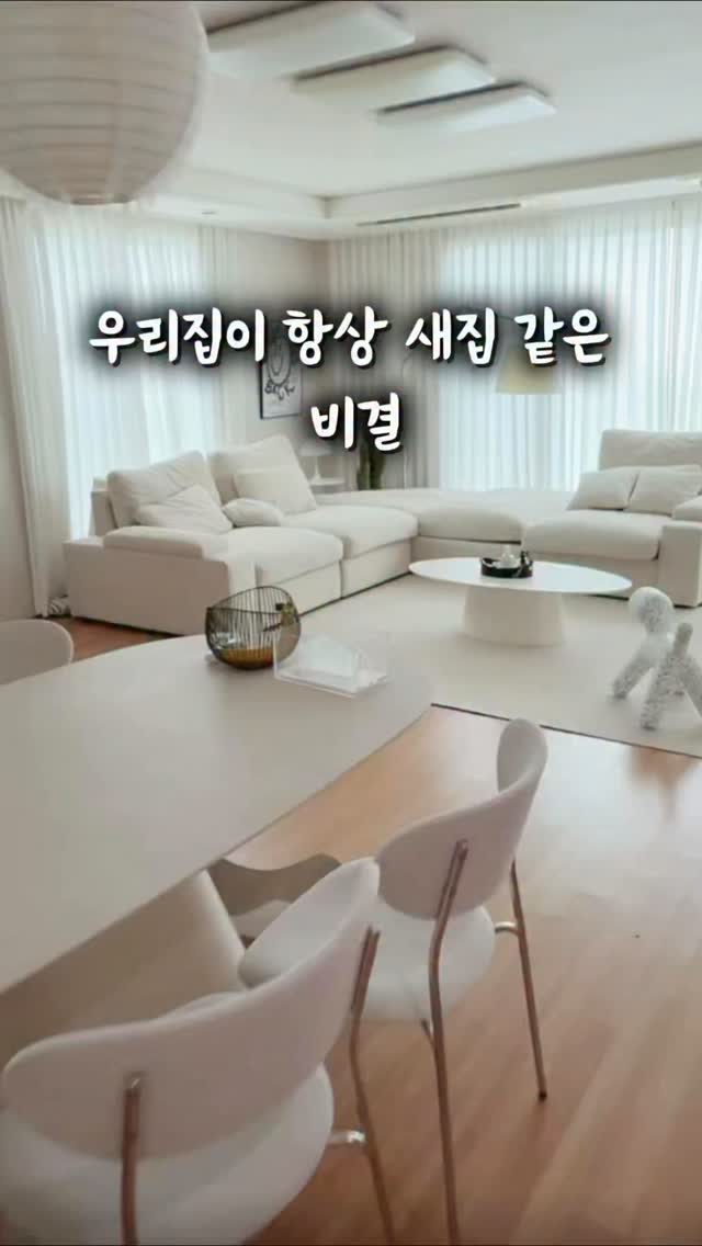 싸움의 교양 시리즈