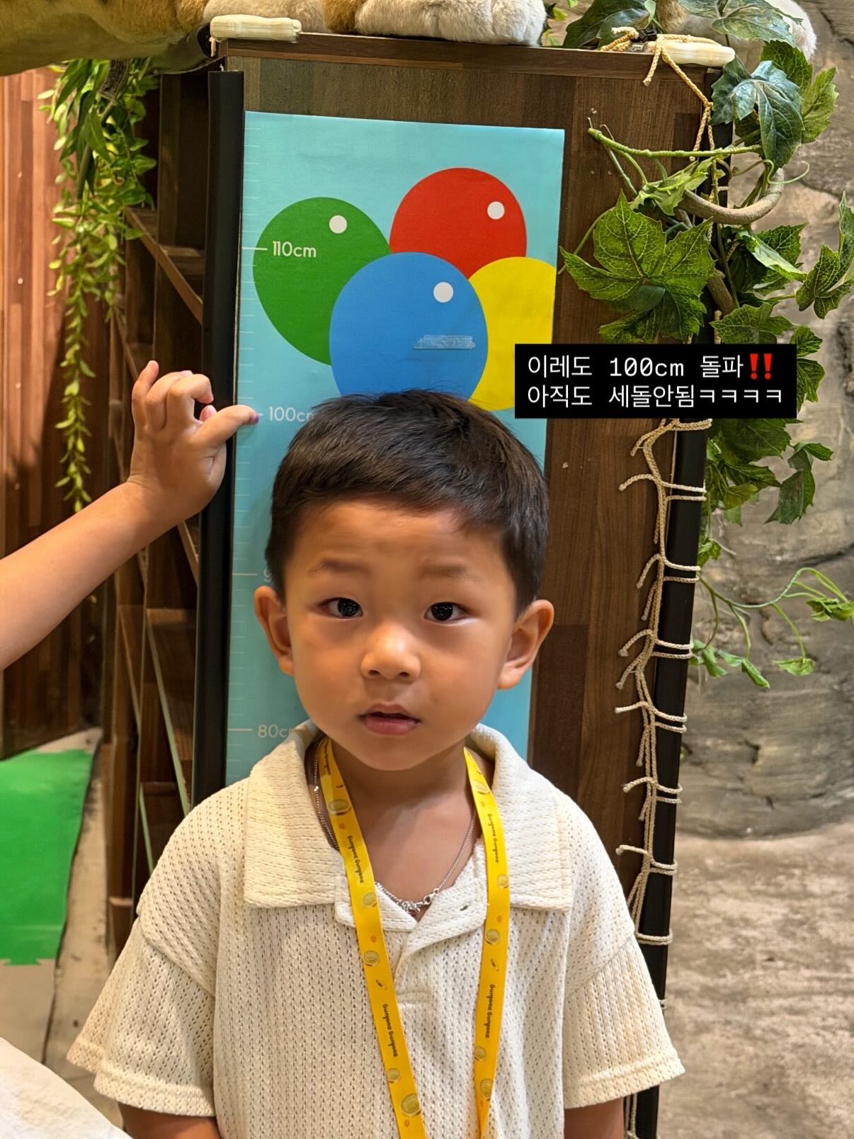 비타민 DK2 7