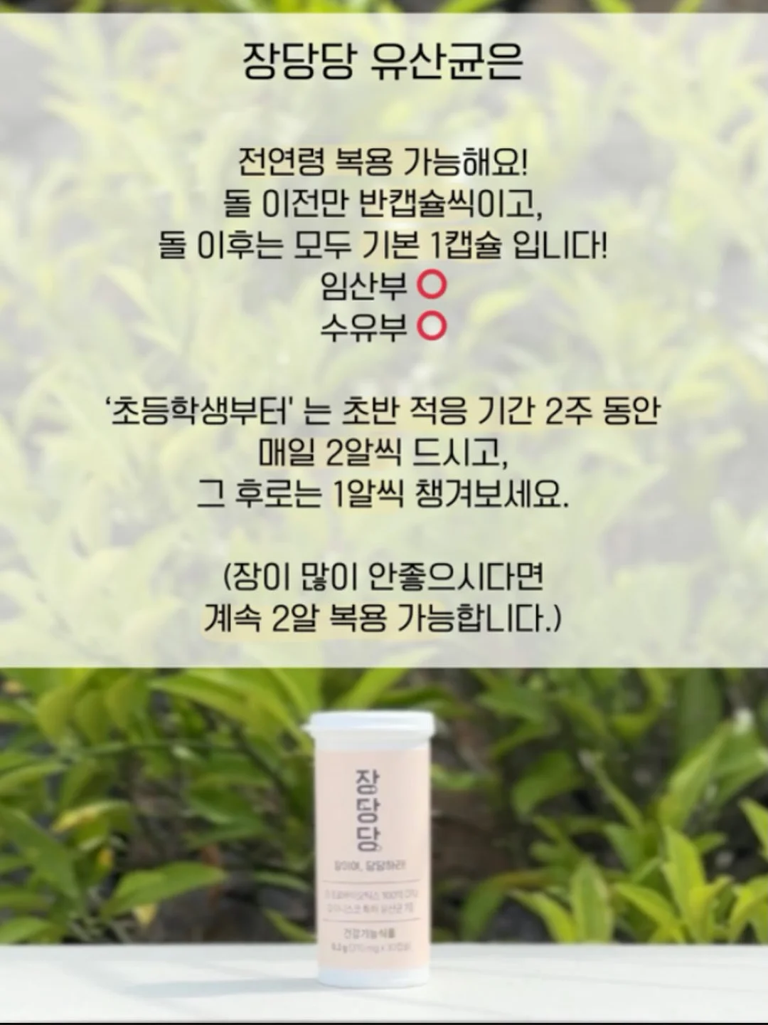 제주 유기농 레몬즙 14