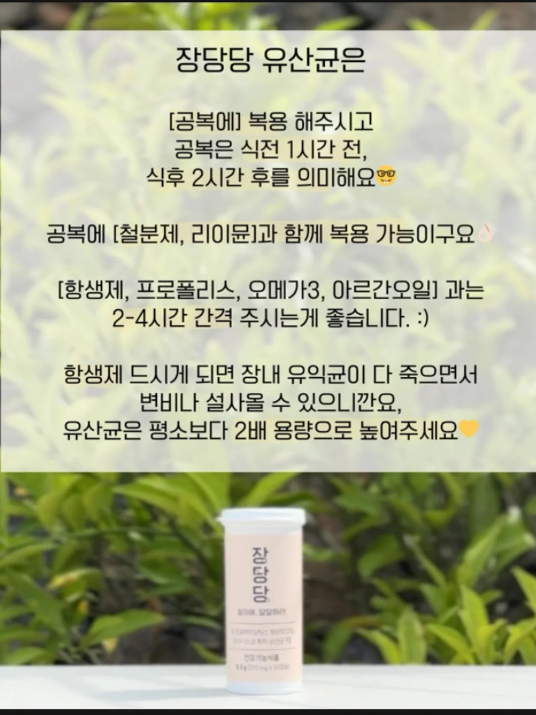 제주 유기농 레몬즙 15