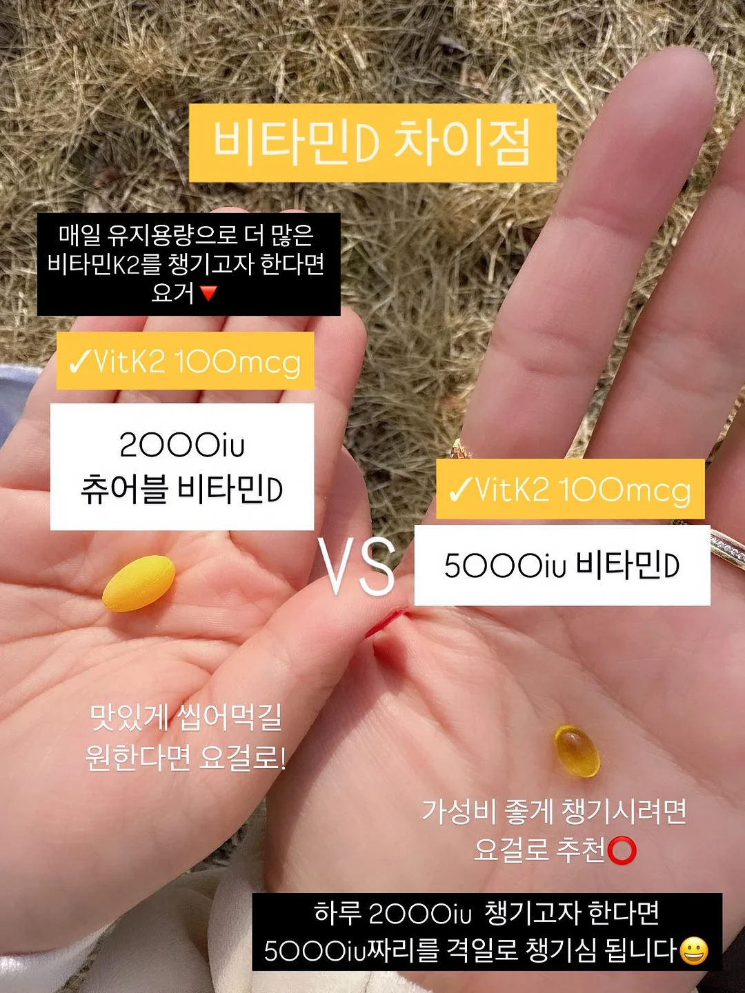 제주 유기농 레몬즙 19