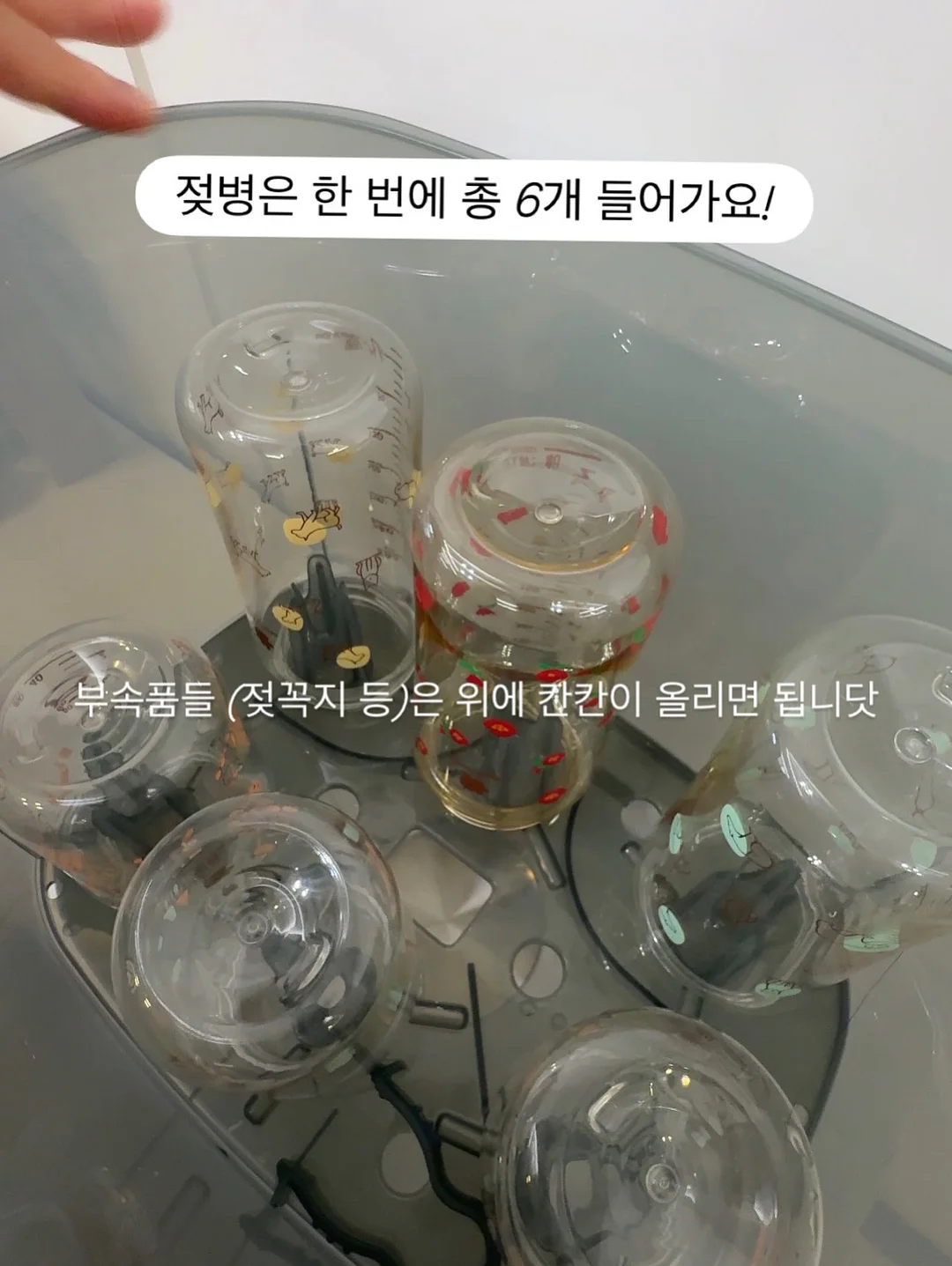 오레더 리본 오너먼트 세트 7