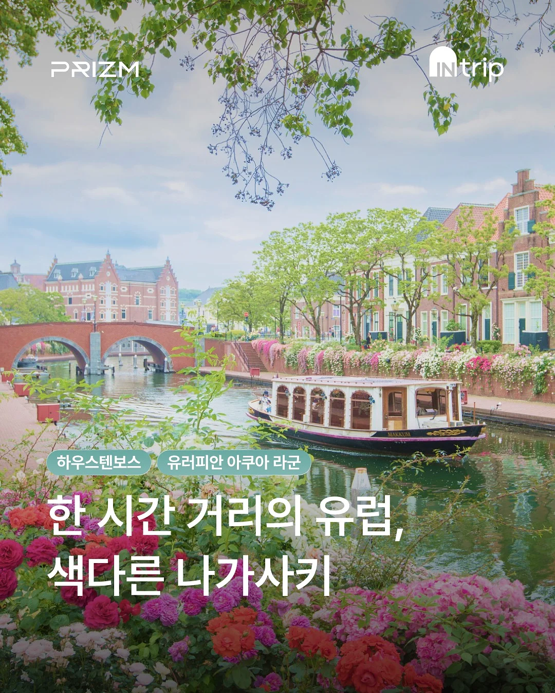 페이스 세트 1