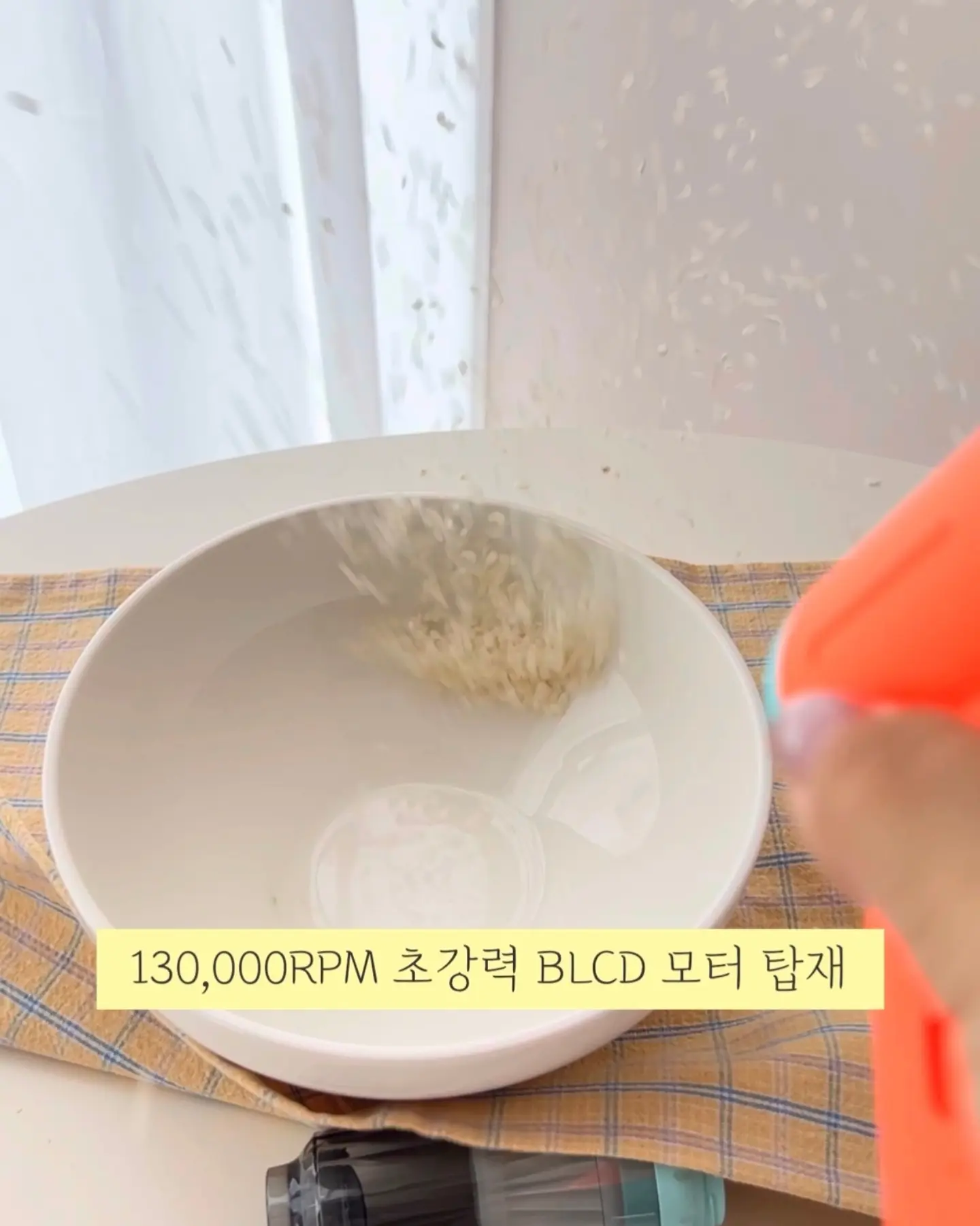 소르티르 봄 팝업 촬영 2