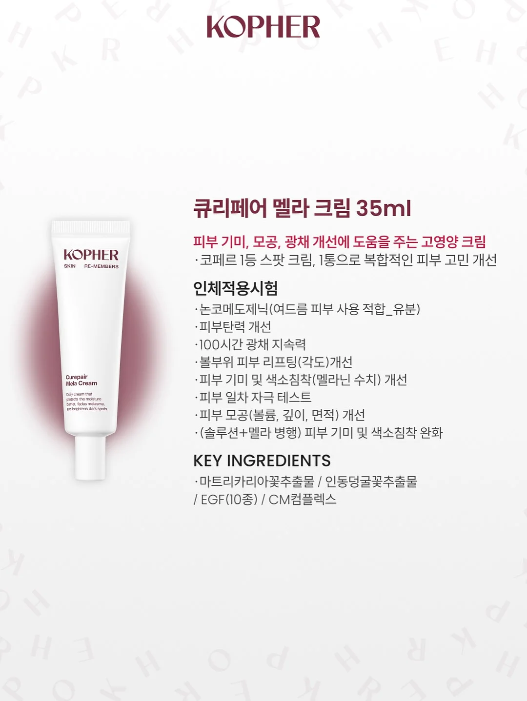 옥수수 시즈닝 레시피 17