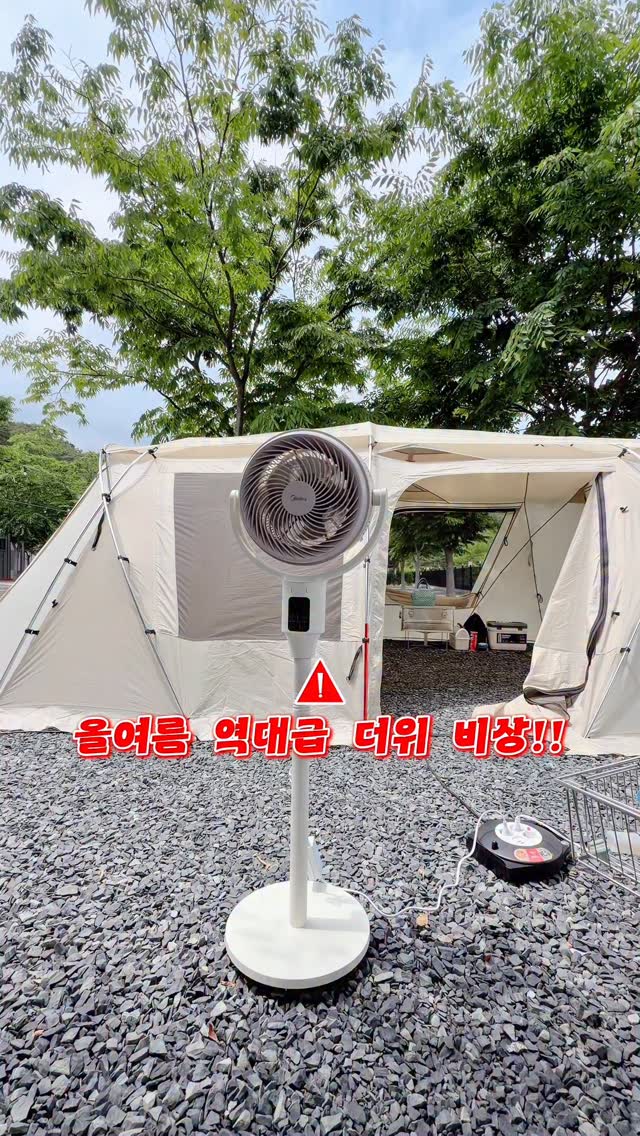 네페타