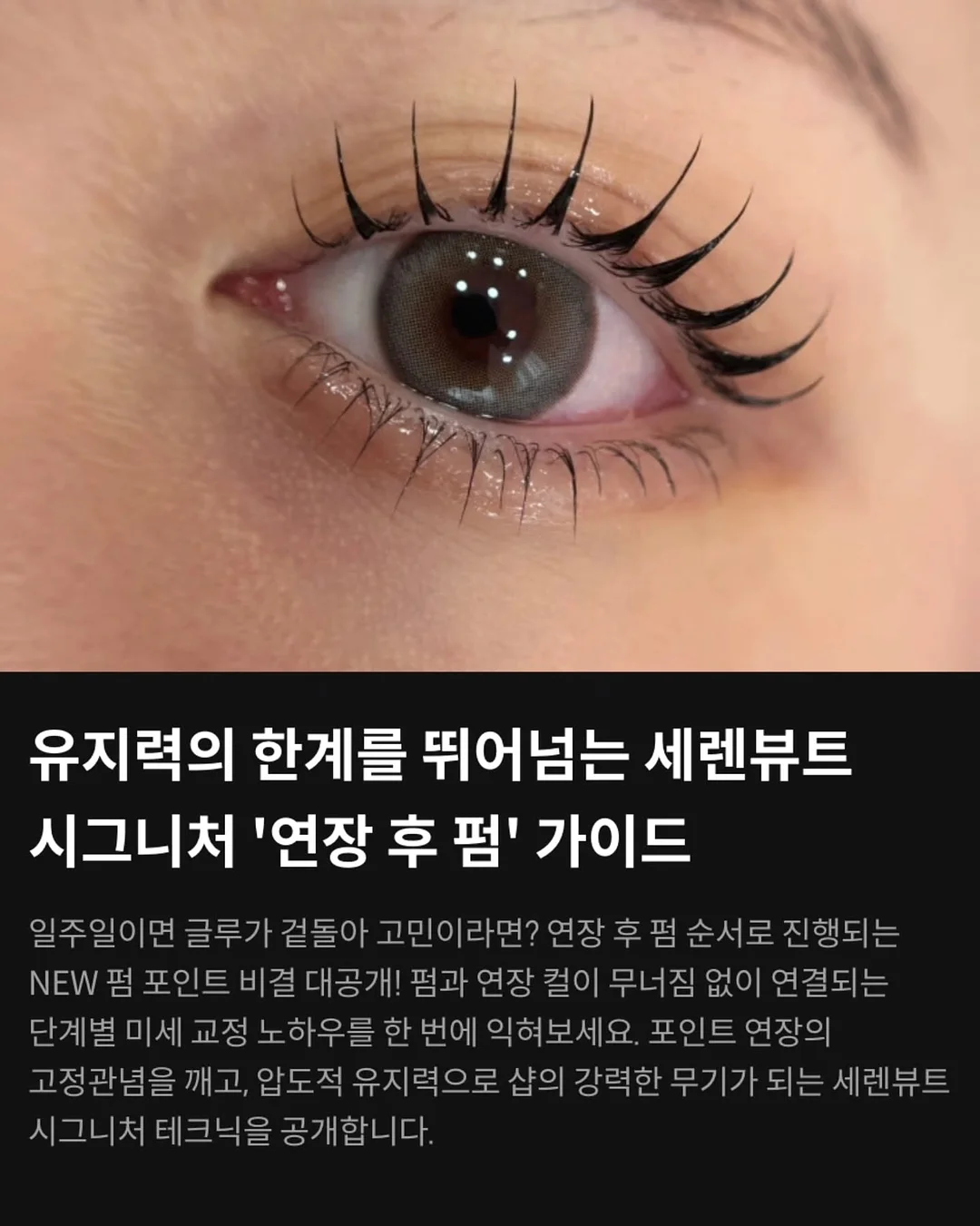 3.5톤 윙바디 신차 + 개별넘버 5