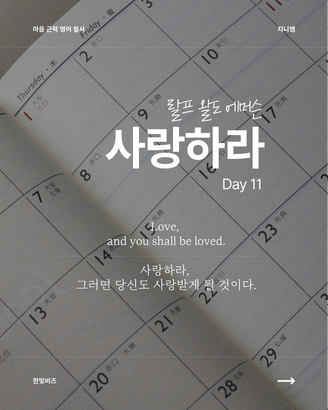 쌈채소 3