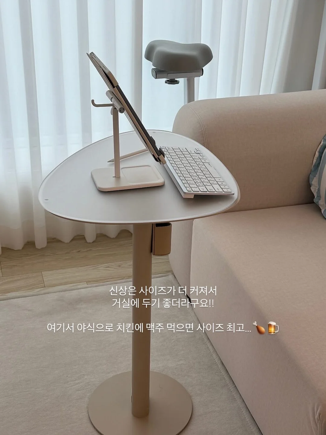 핑크 블러셔 9