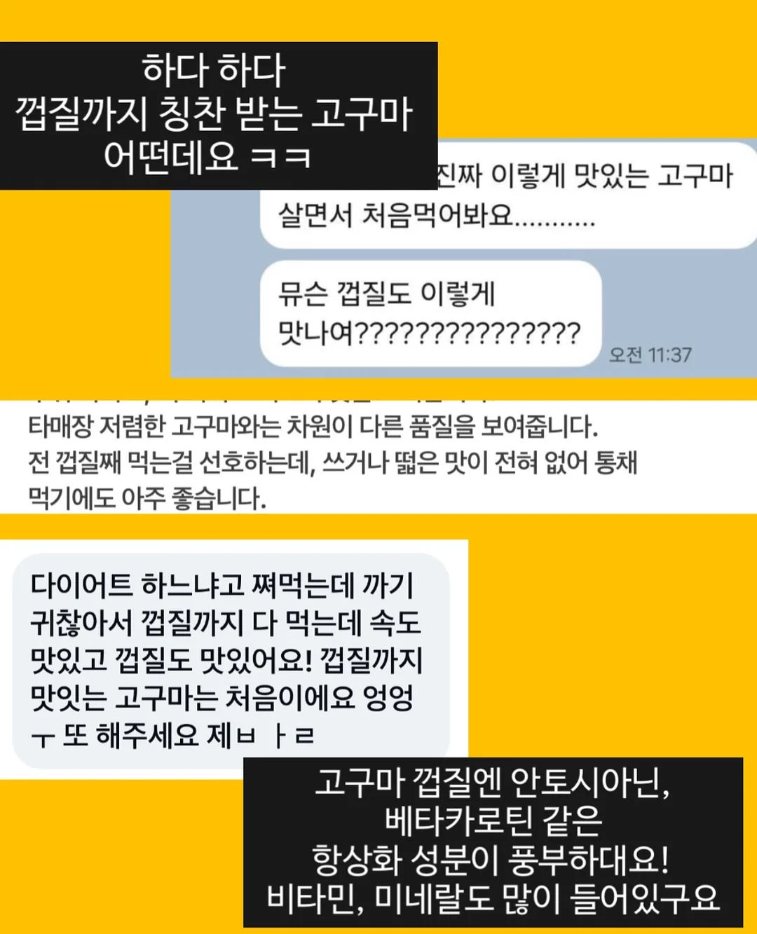 팬츠 화이트 10