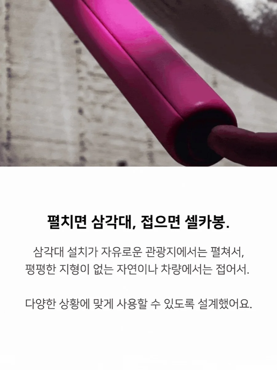 실버커튼, 실버백 5