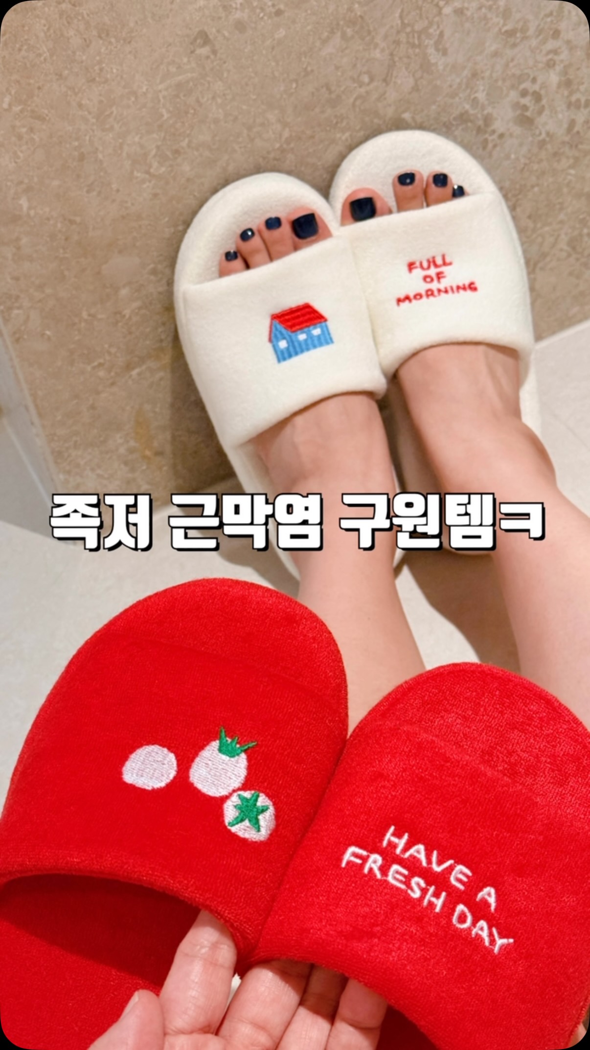 모티피지오 구독서비스