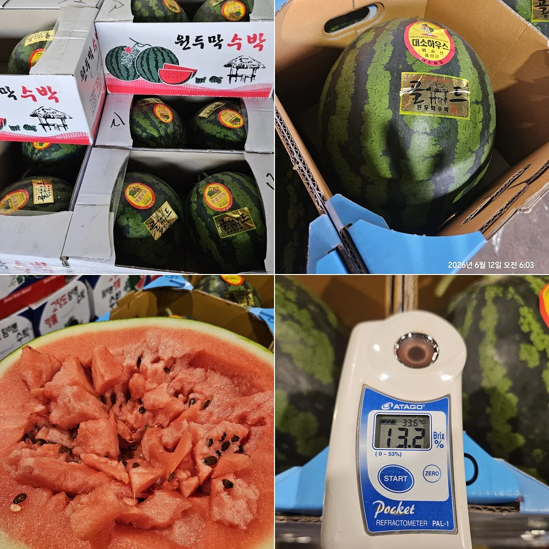아오리사과 네일 아트 6