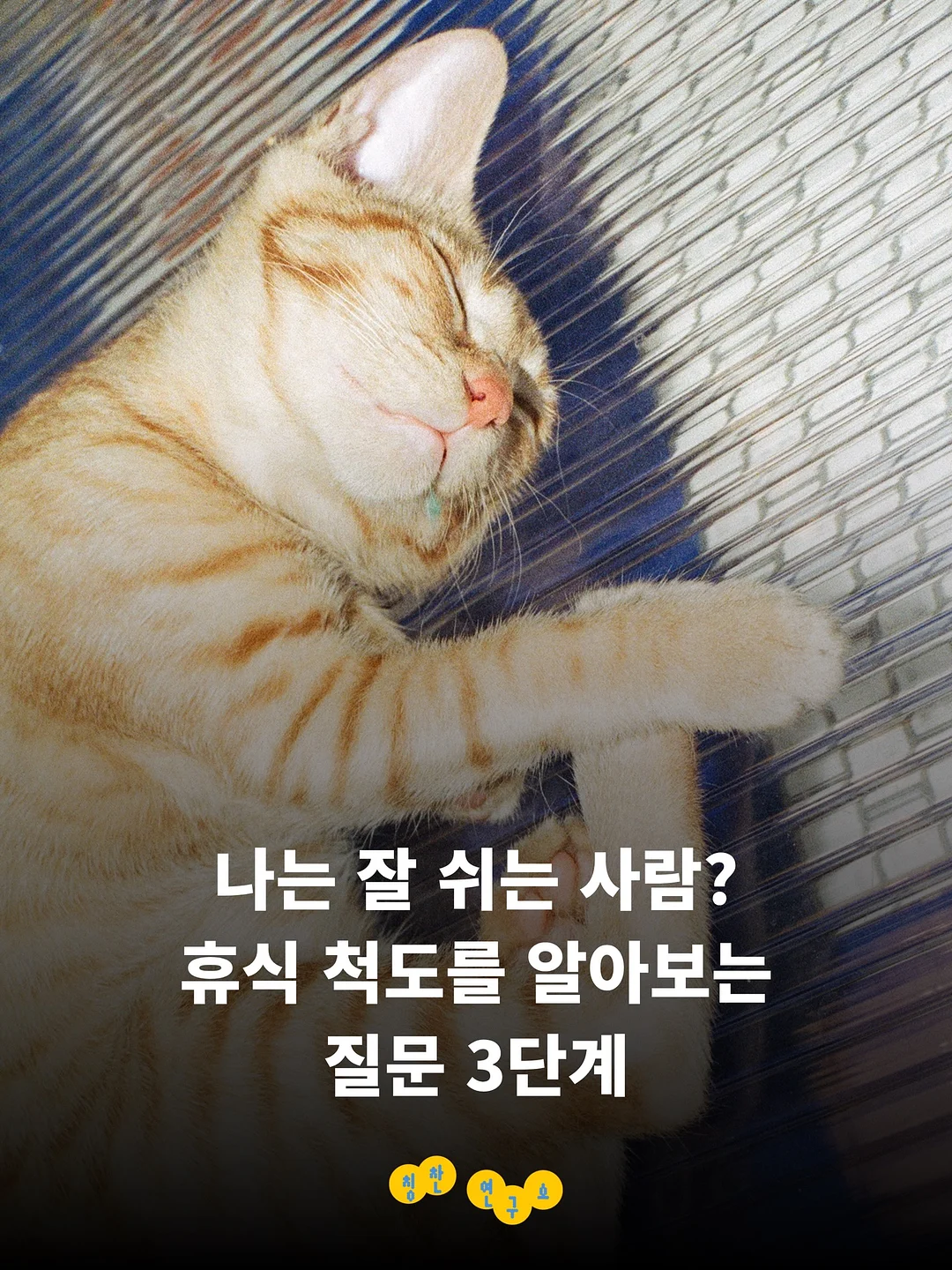 테무 꿀템 1