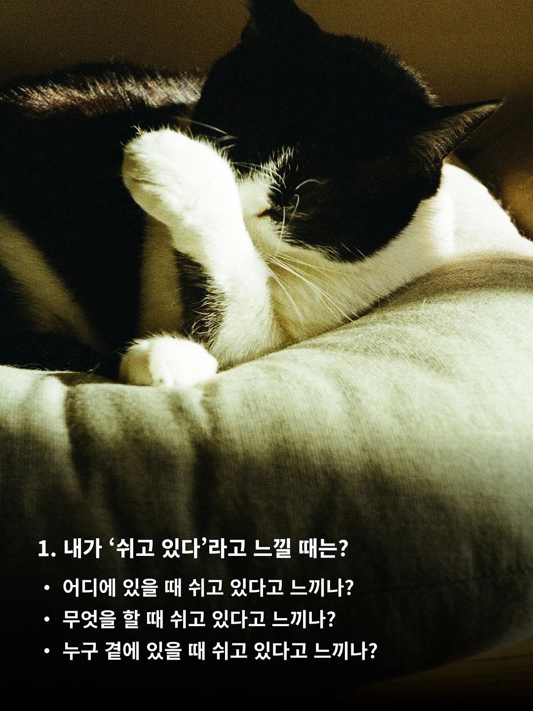 테무 꿀템 2