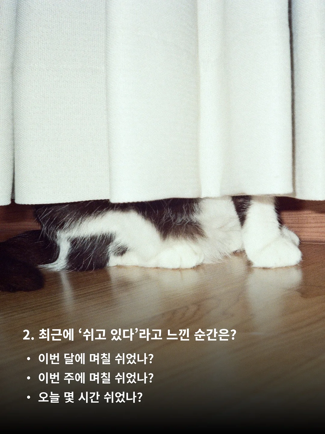 테무 꿀템 3