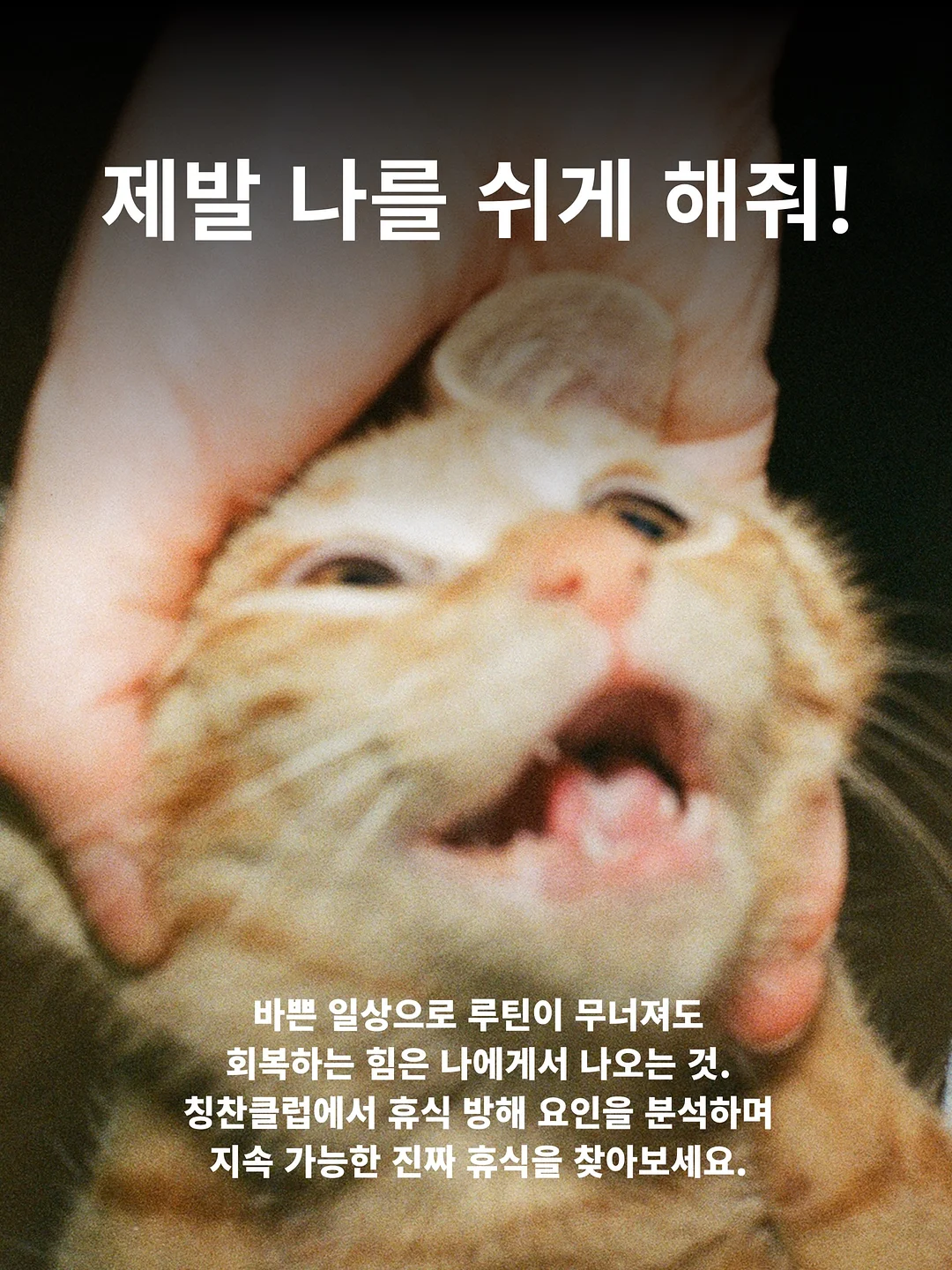 테무 꿀템 5