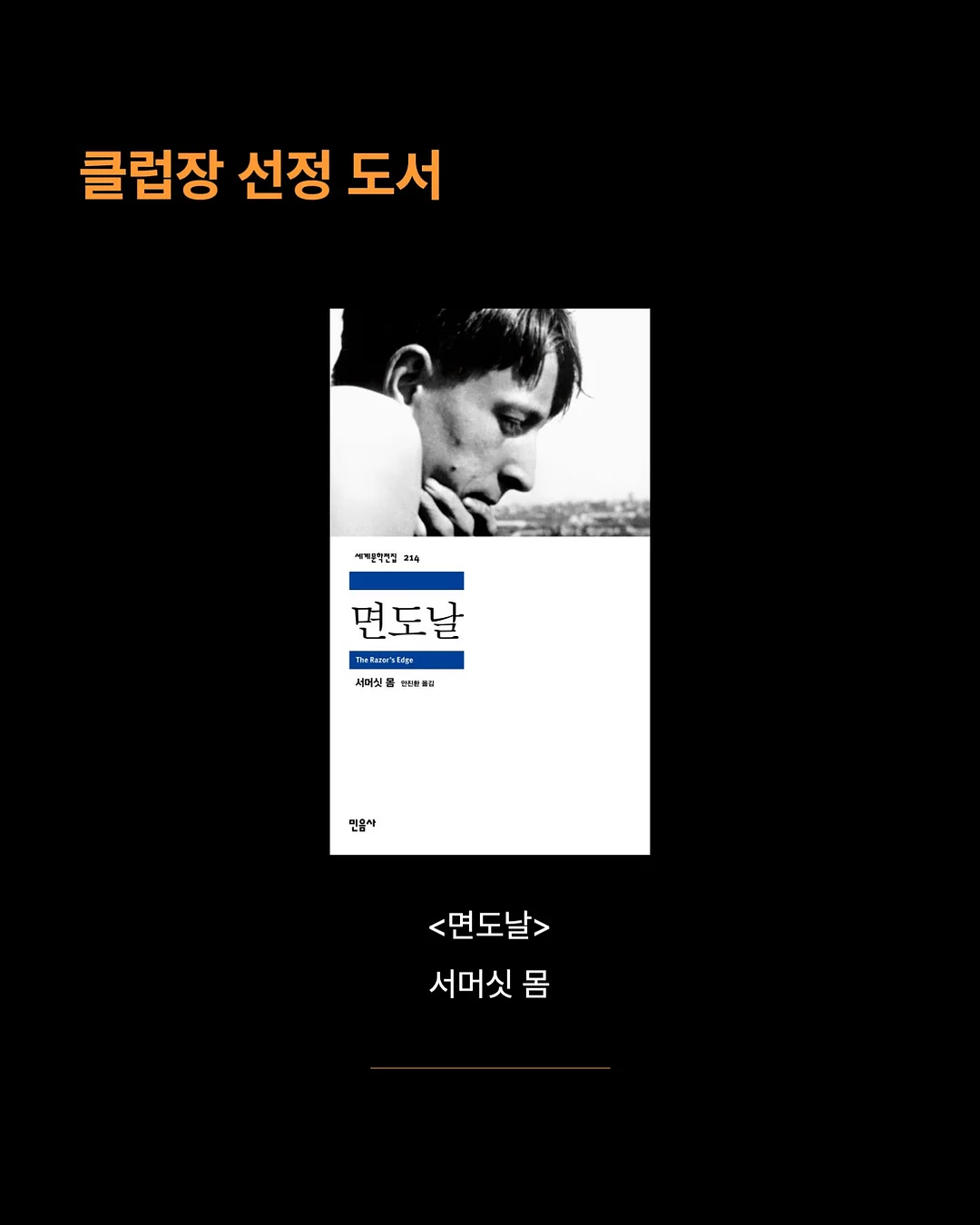진주 샤 롱 스커트 4