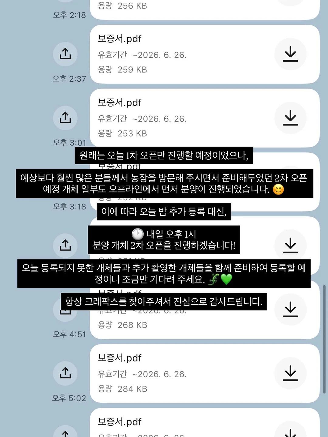 나이트가디건