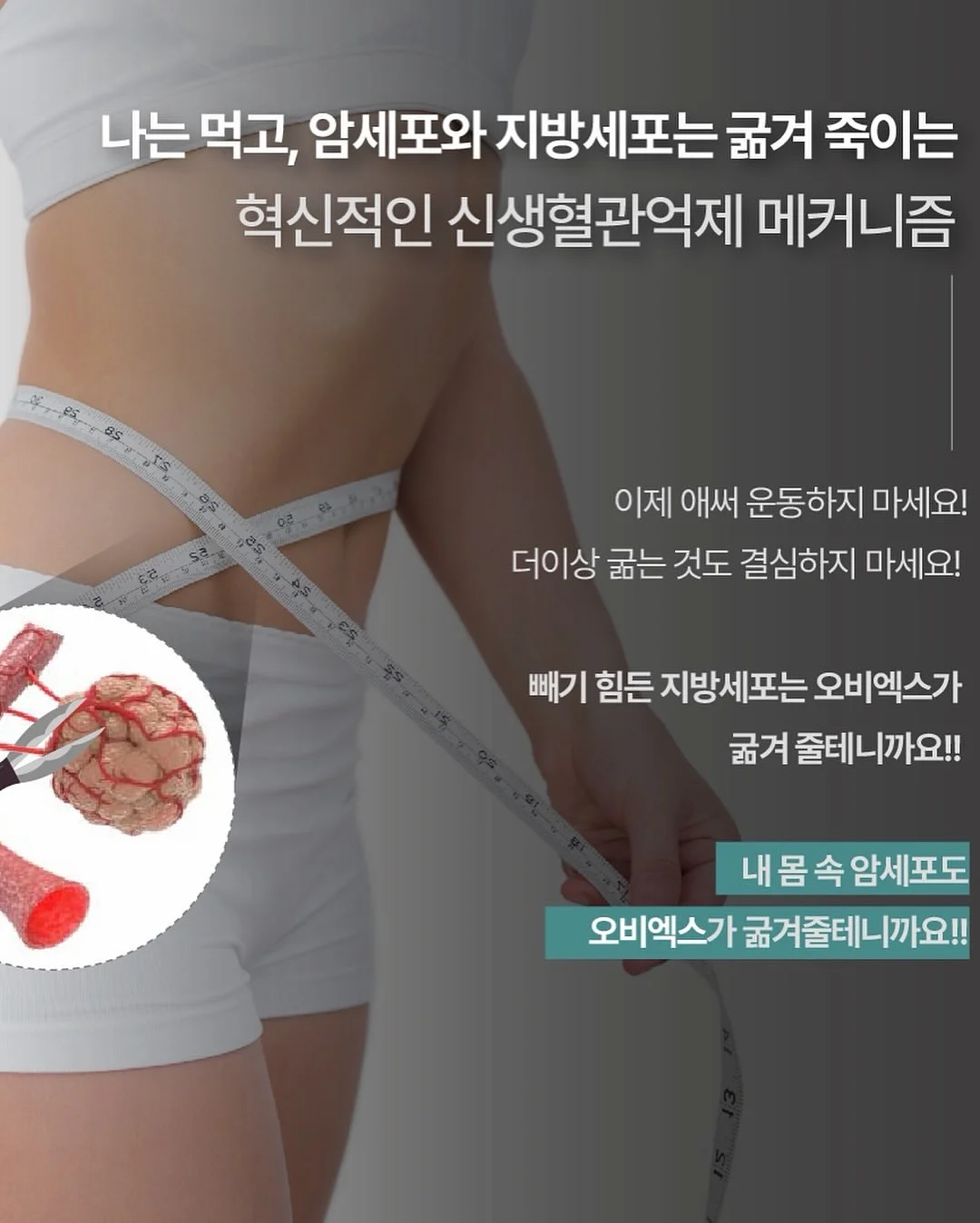 치즈 크런치 슬랑이 20