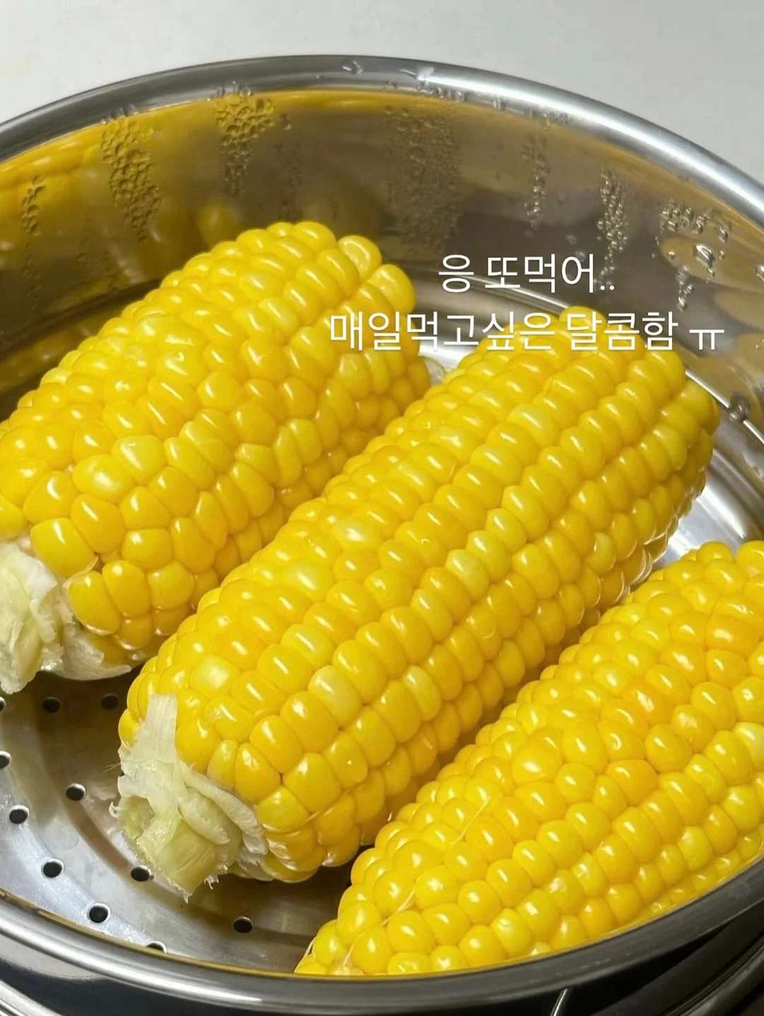 측정기 16