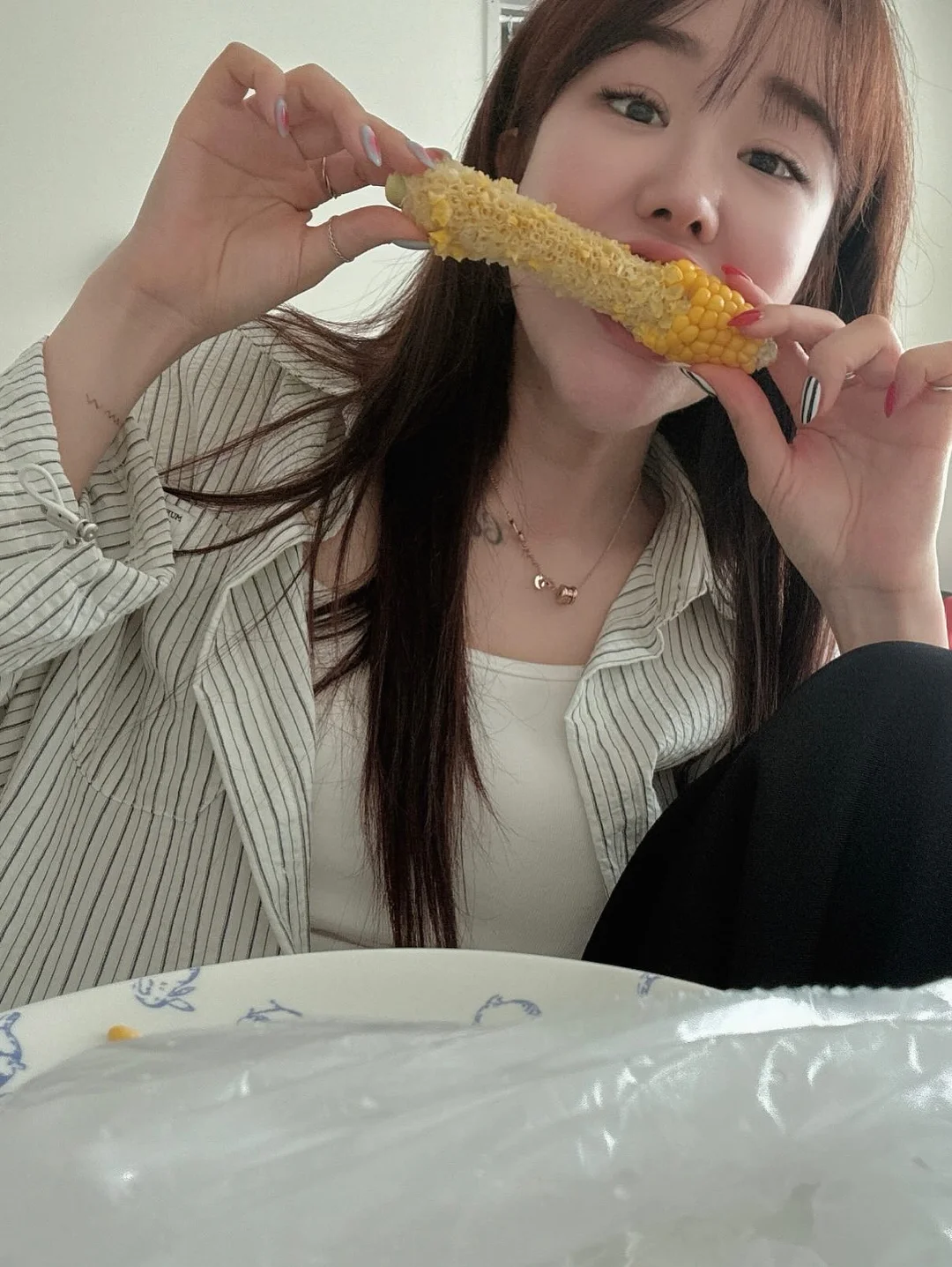 측정기 17