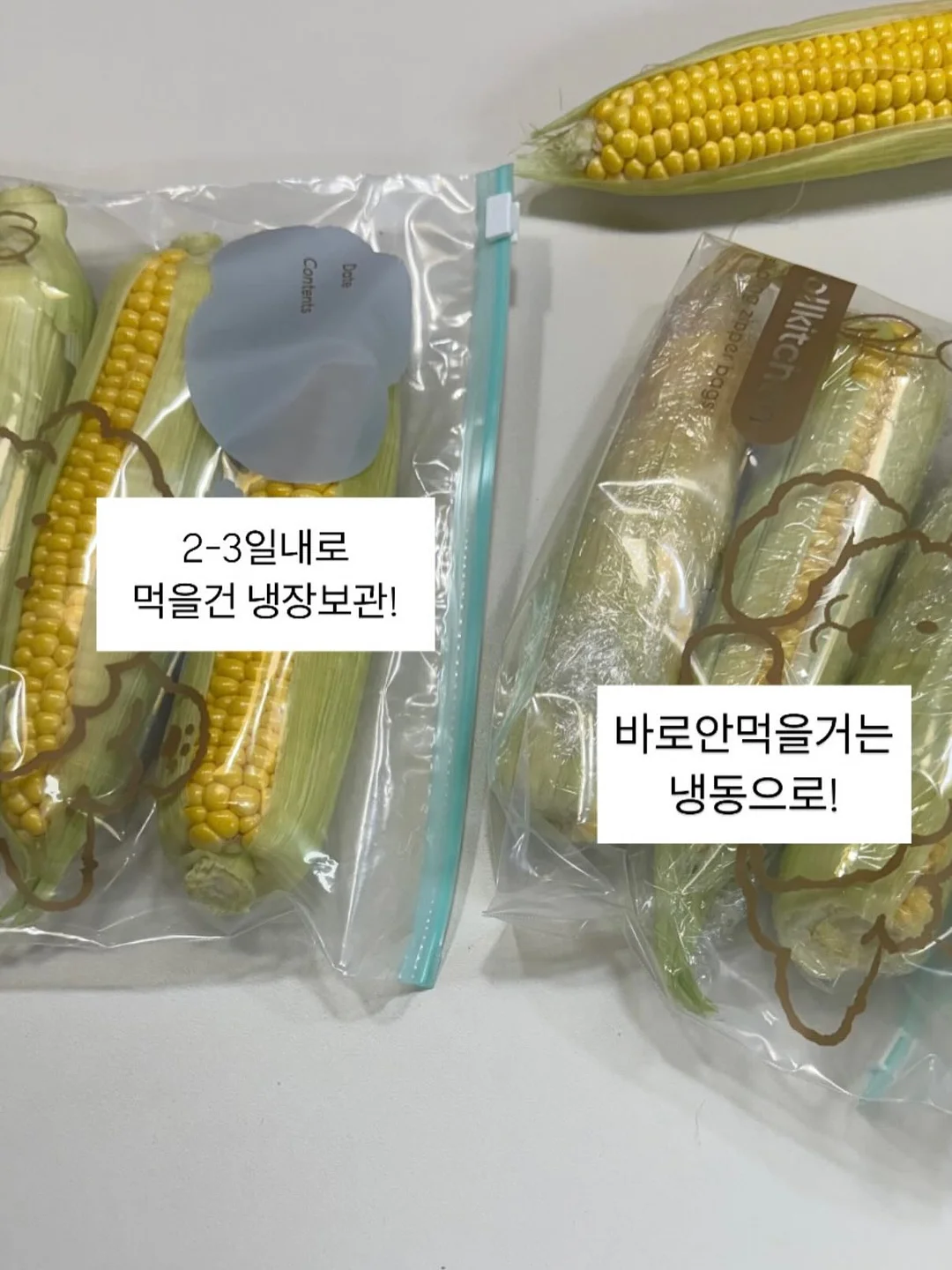 측정기 10