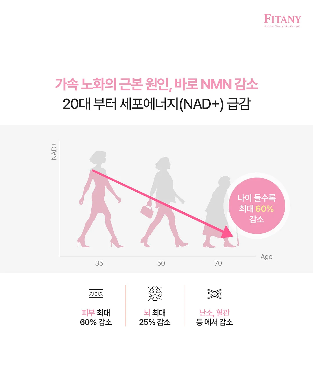 딸기 모종 1