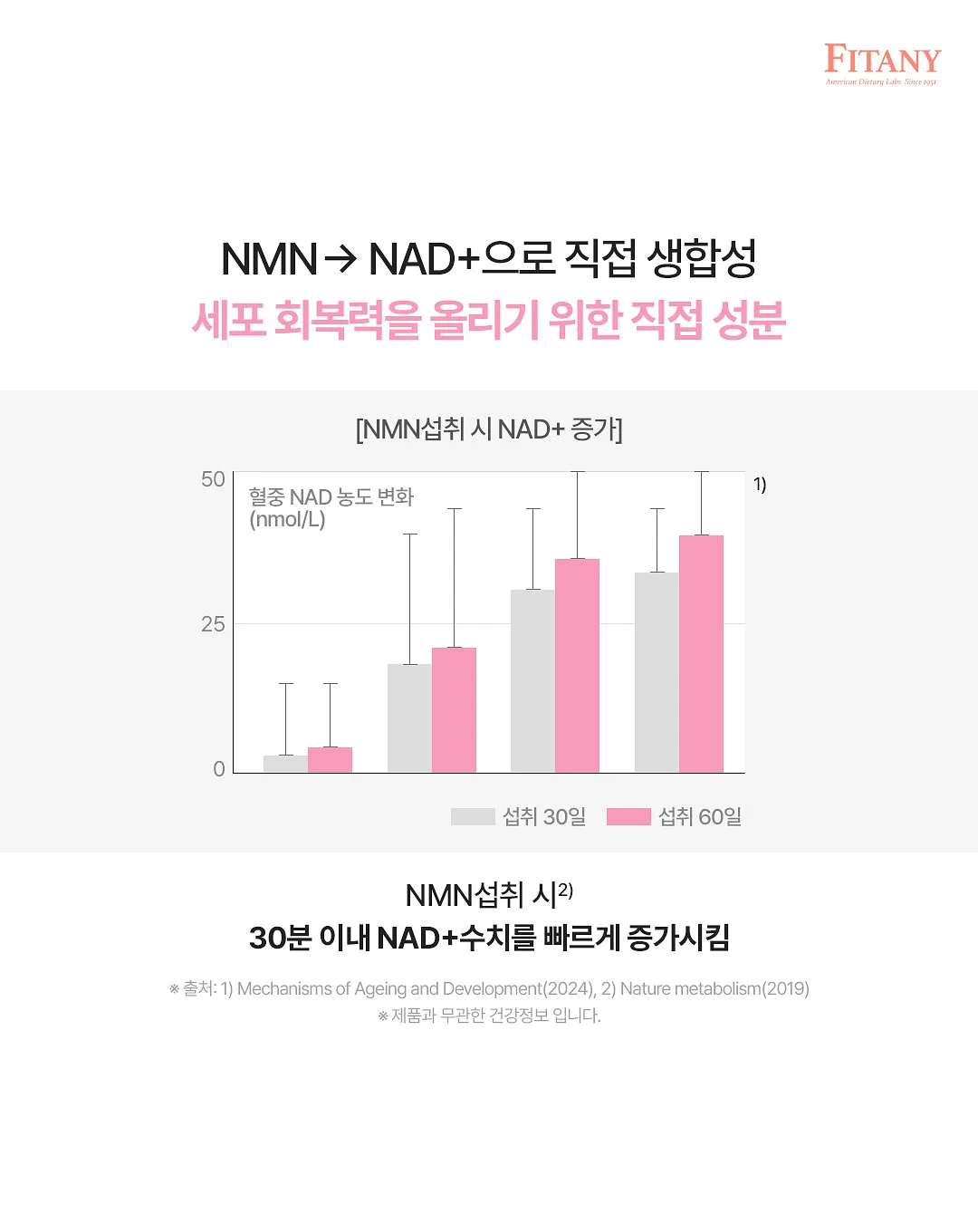 딸기 모종 2
