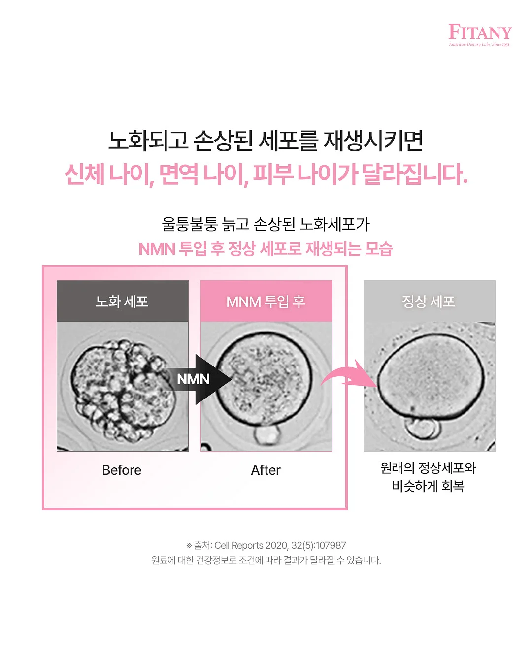 딸기 모종 3