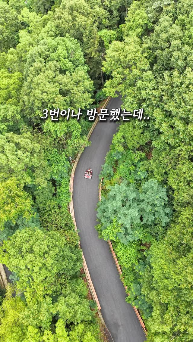 커튼