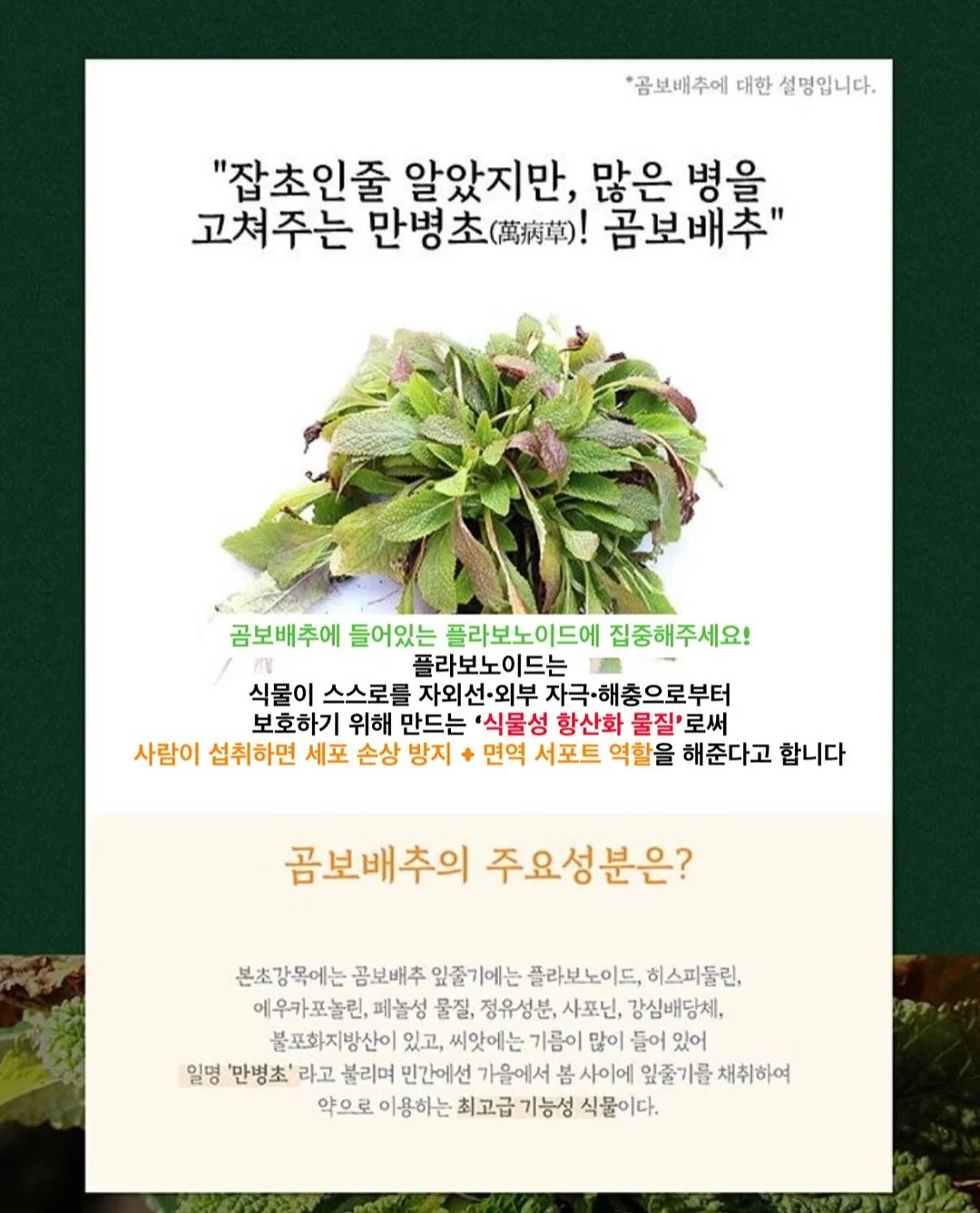 홈트 유산소 기구 3