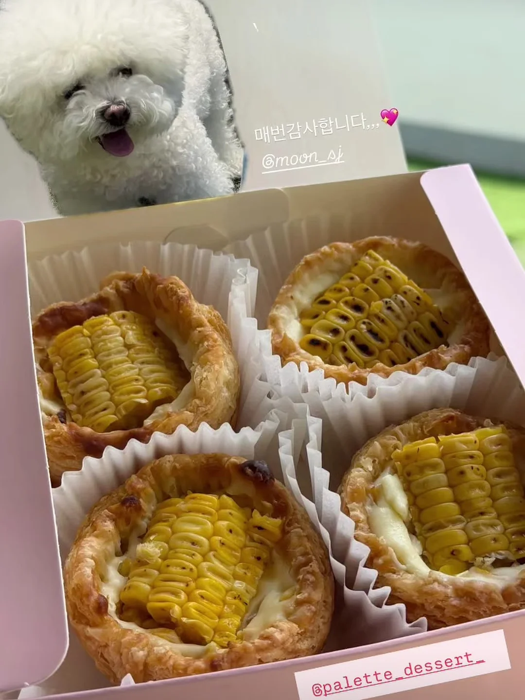 스파톤 16
