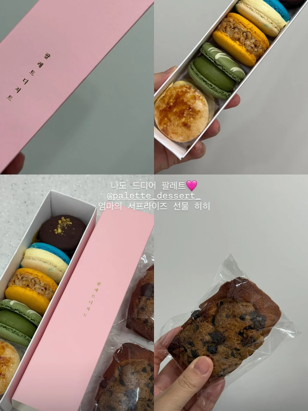 스파톤 5