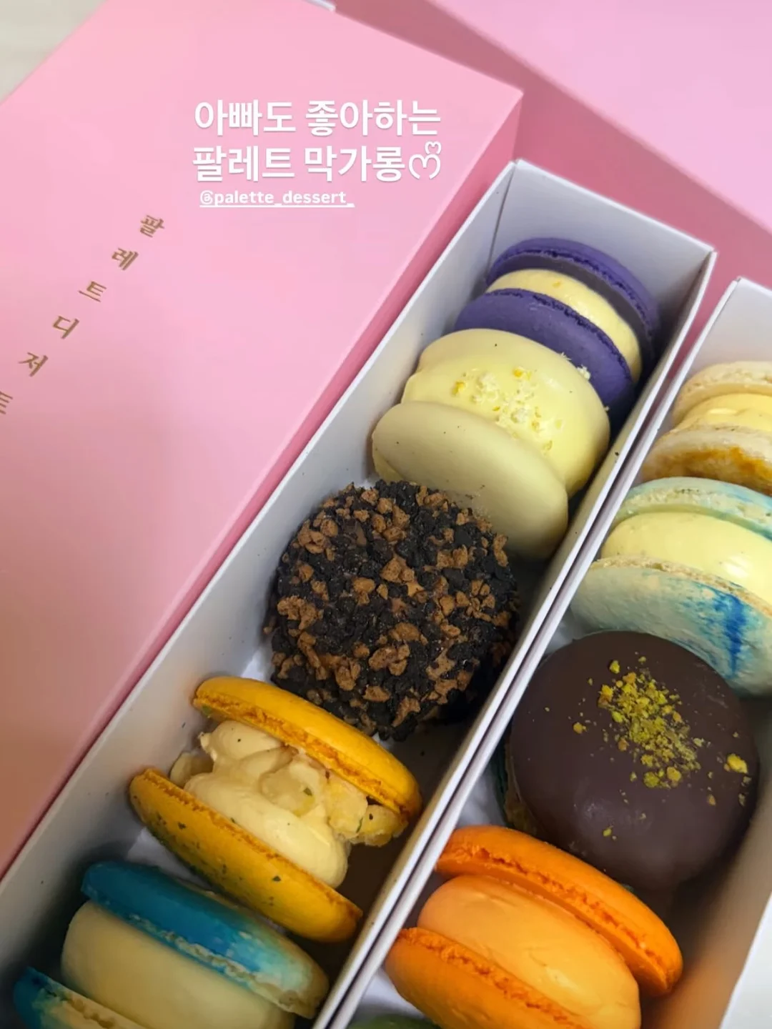 스파톤 6