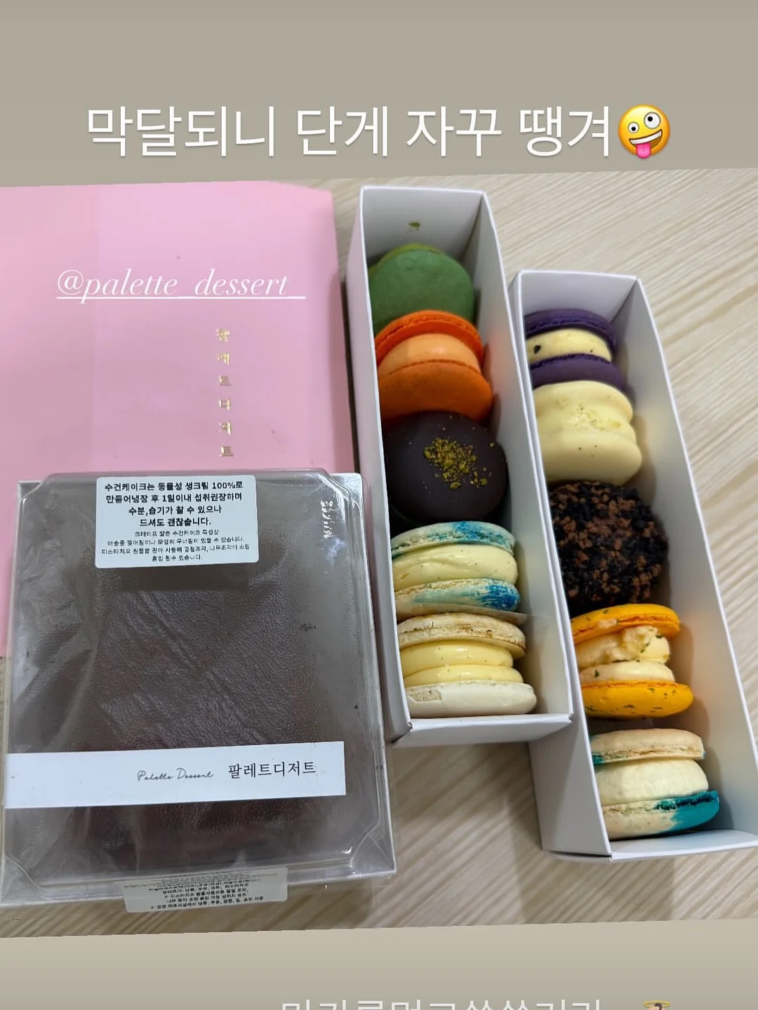 스파톤 10