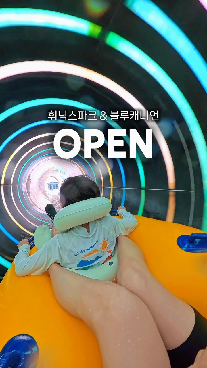 2단 발디딤대