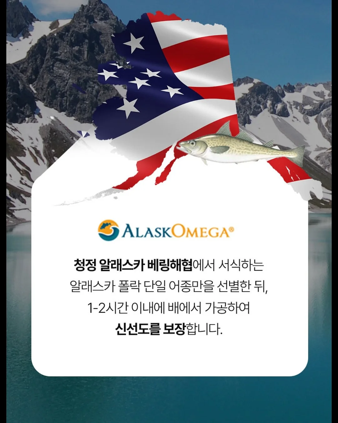이와코 퍼즐 지우개 도시락 세트 3