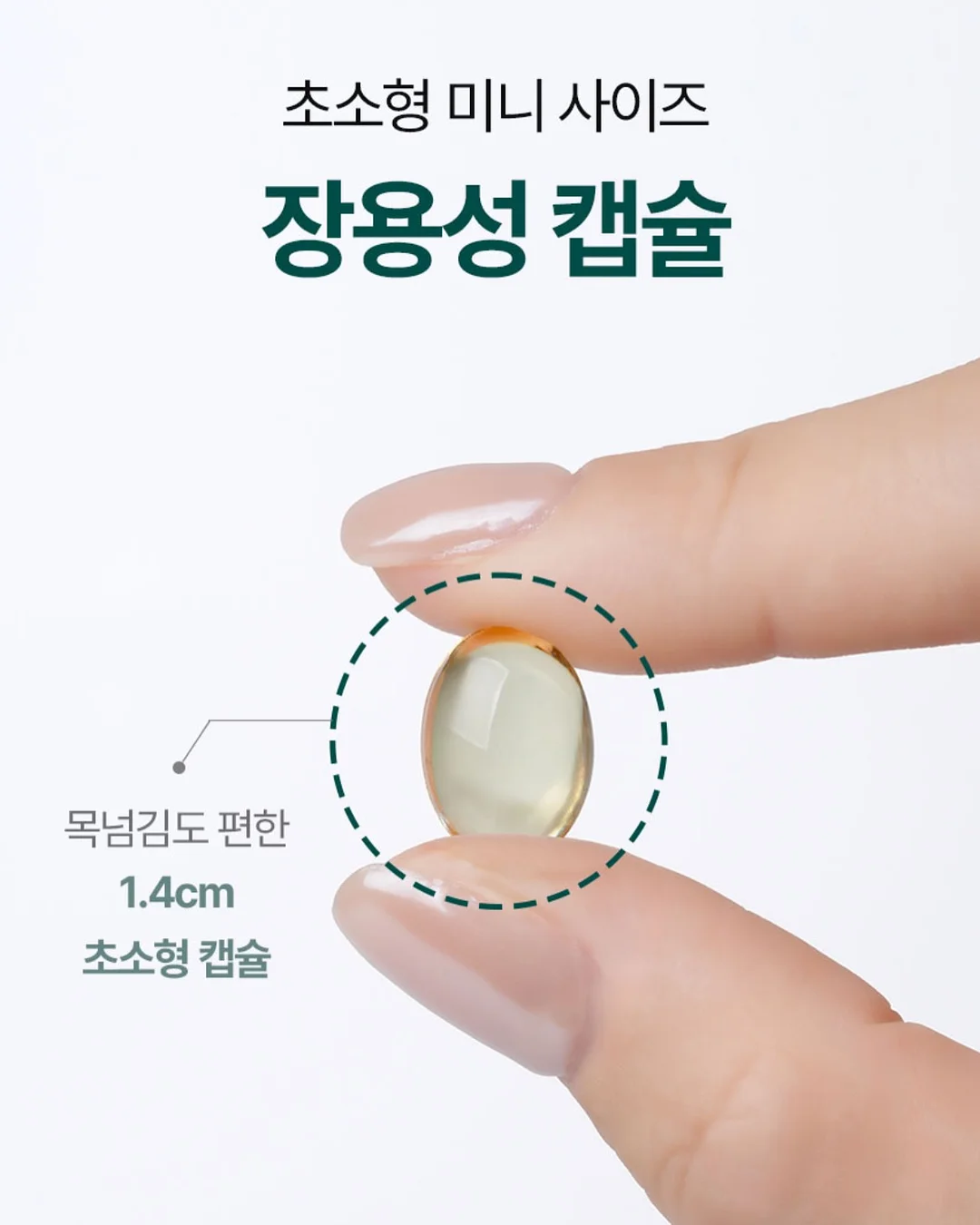 이와코 퍼즐 지우개 도시락 세트 5