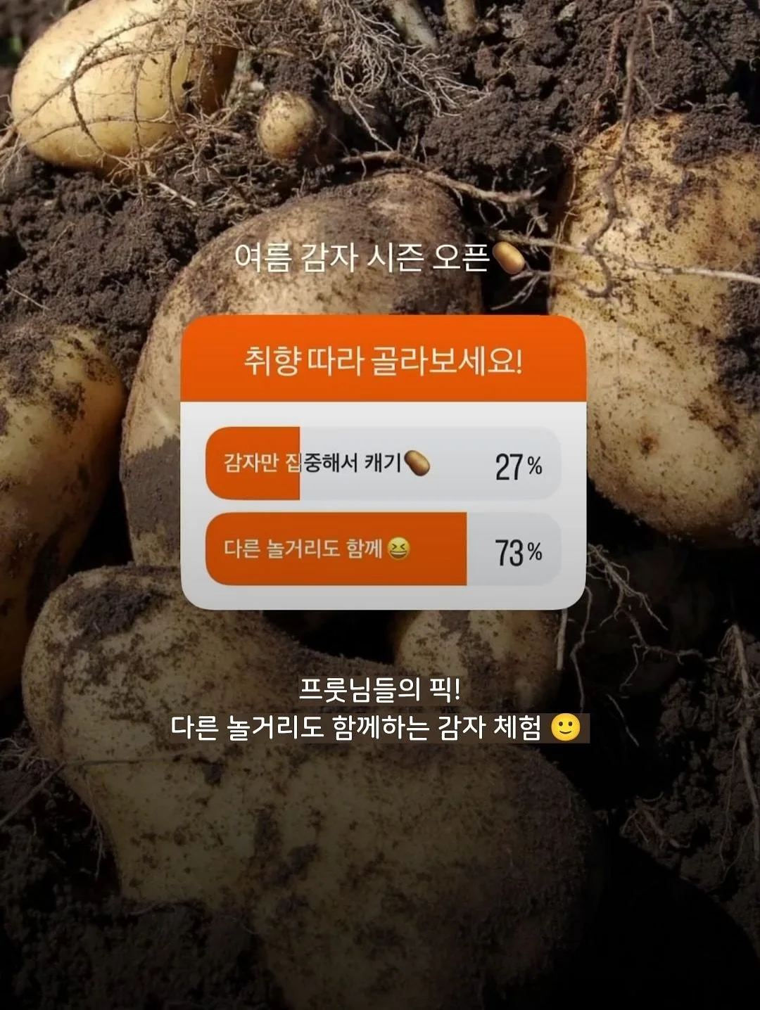 채칼 4