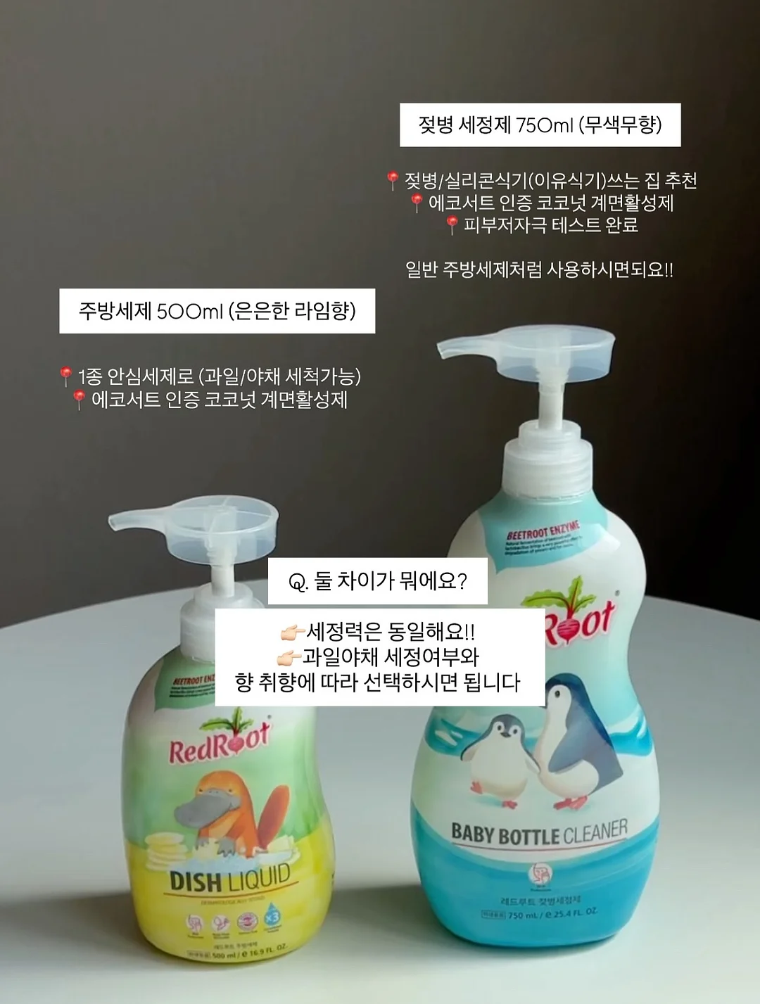 발굴 키트 16