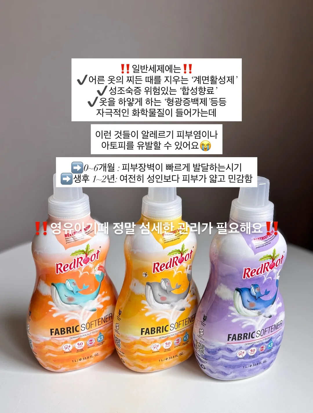 발굴 키트 6