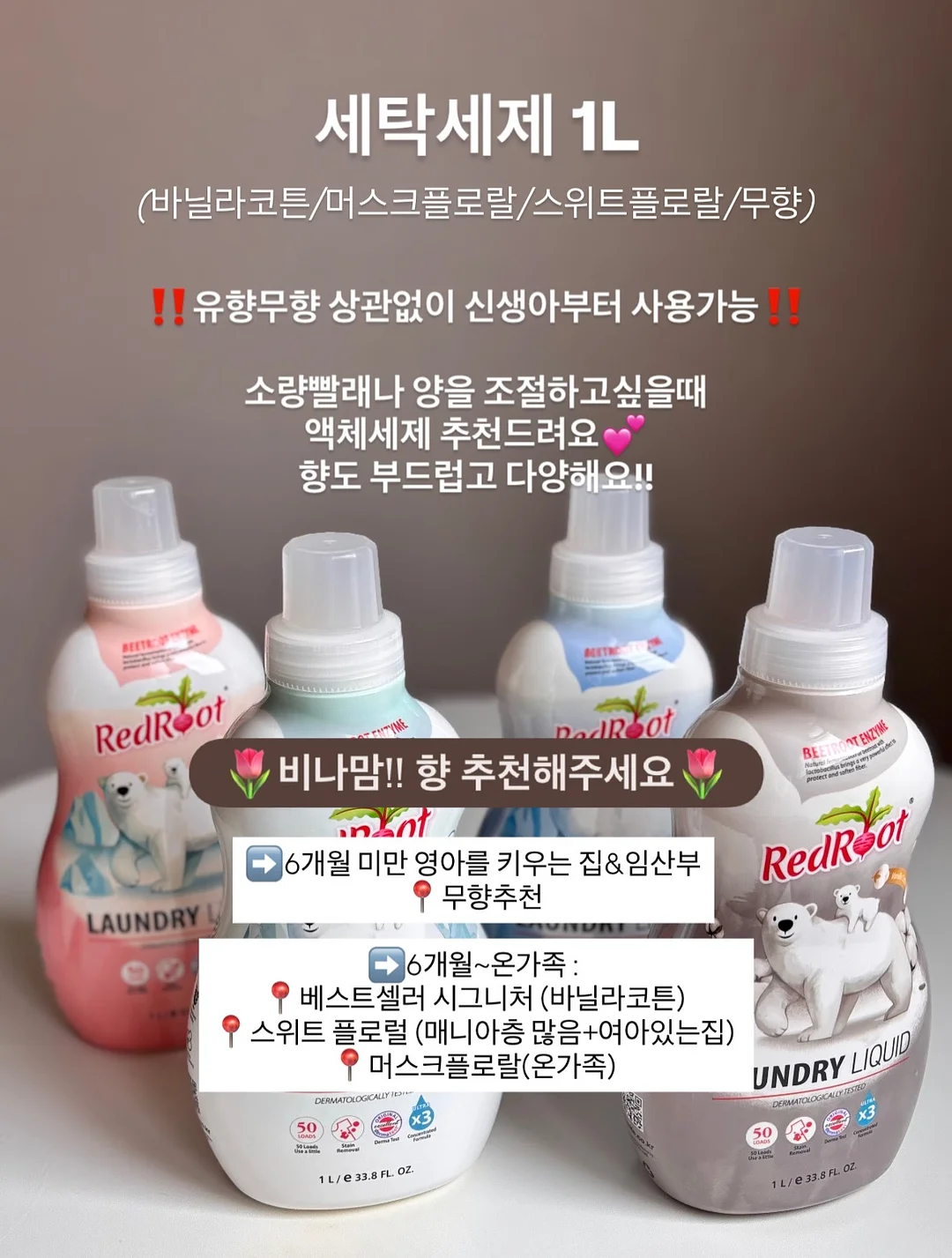 발굴 키트 10