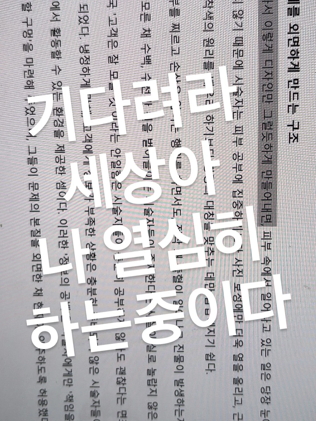 벨라 골지 티셔츠 11